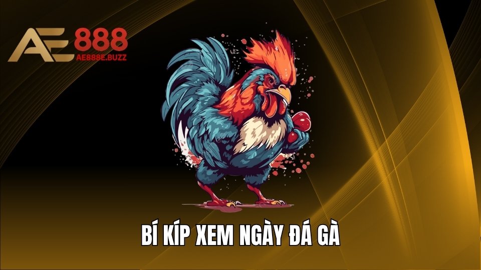 Bí Kíp Xem Ngày Đá Gà Siêu Chuẩn Dành Cho Người Mới