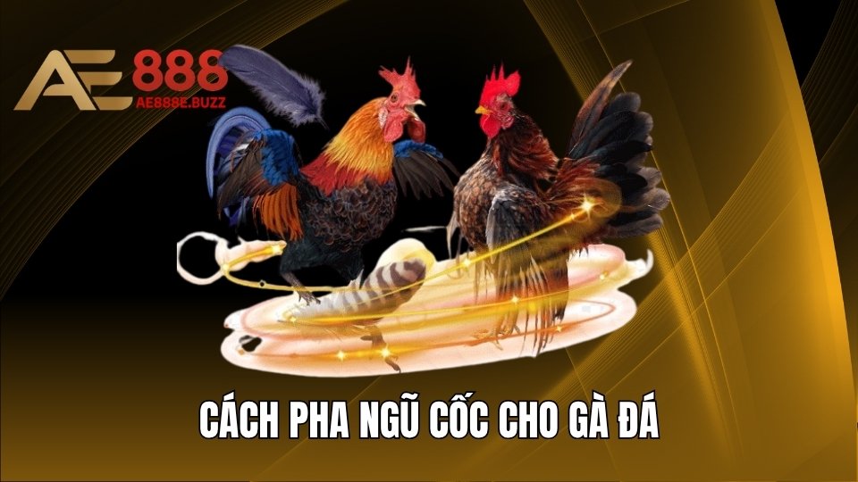 Bật Mí Cách Pha Ngũ Cốc Cho Gà Đá Đạt Chuẩn Tỉ Lệ Vàng