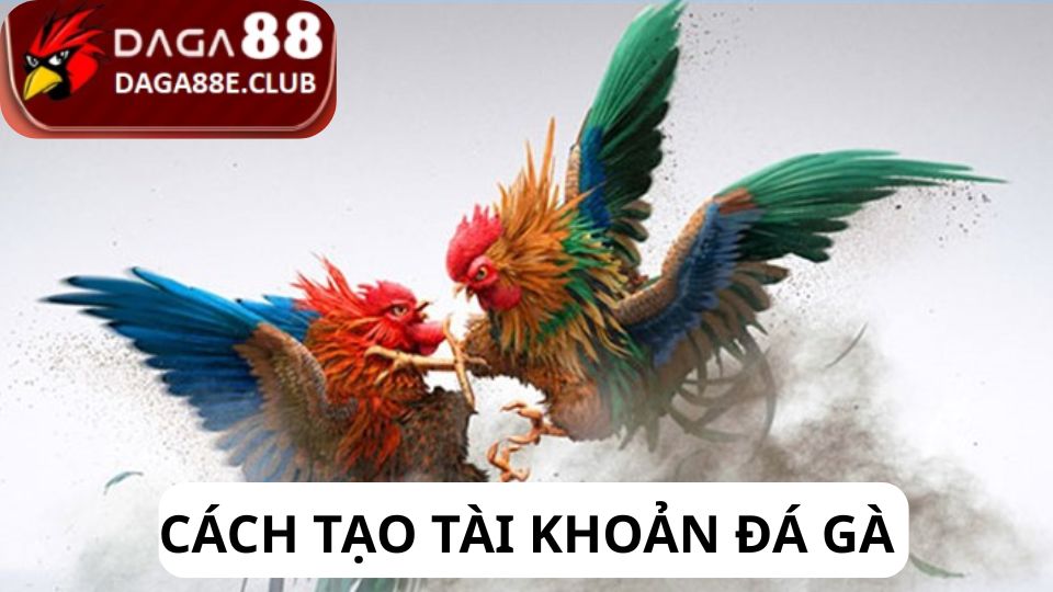 Hướng Dẫn Cách Tạo Tài Khoản Đá Gà Online Chuẩn Xác Nhất
