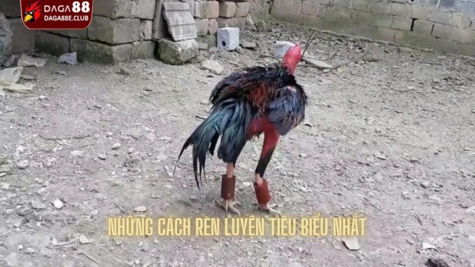 Điểm qua những cách rèn luyện tiêu biểu nhất hiện nay