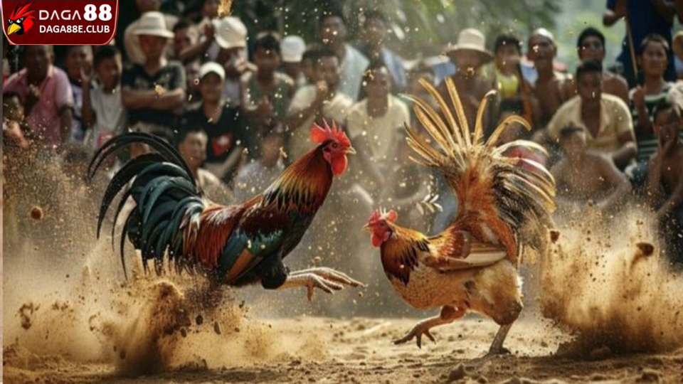 Quy định về thời gian diễn ra trận tranh tài