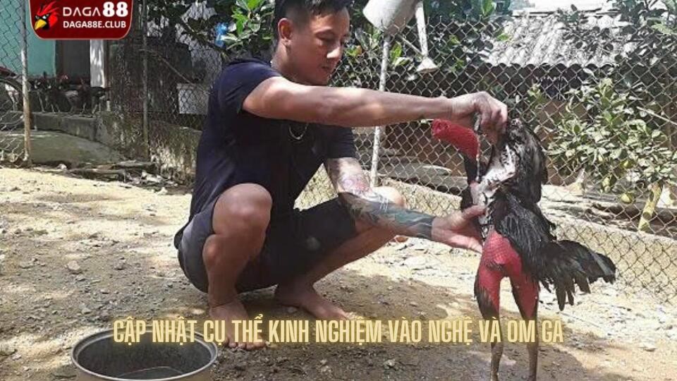 Cập nhật cụ thể kinh nghiệm vào nghệ và om gà từ chuyên gia