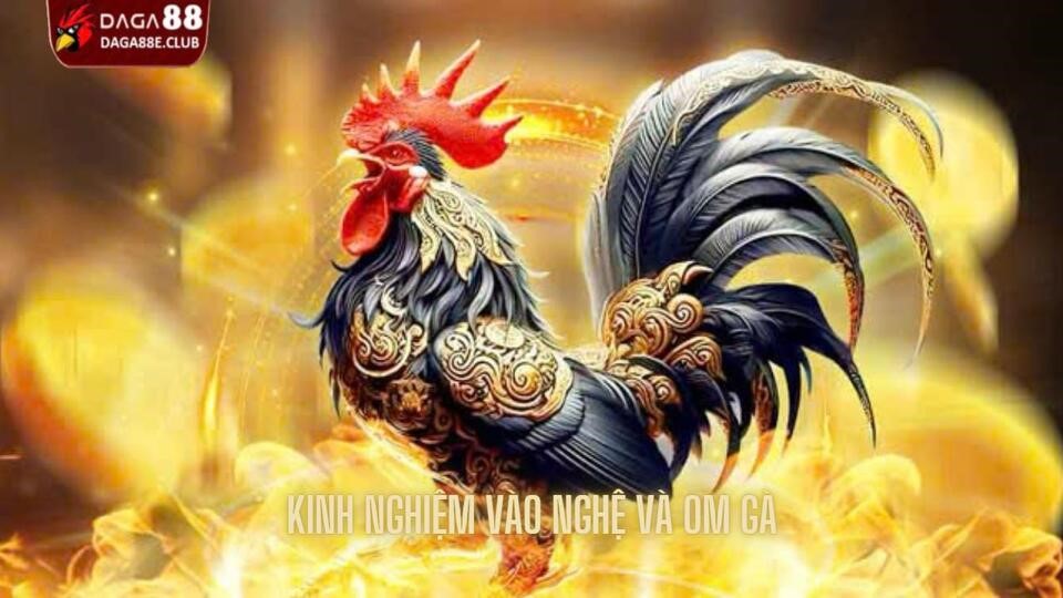 Kinh Nghiệm Vào Nghệ Và Om Gà Từ Cao Thủ Cùng Daga88