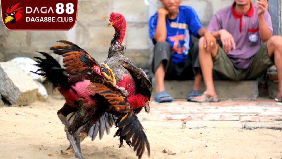 Lối đá dọc - Tấn công đối thủ và hạ gục nhanh chóng