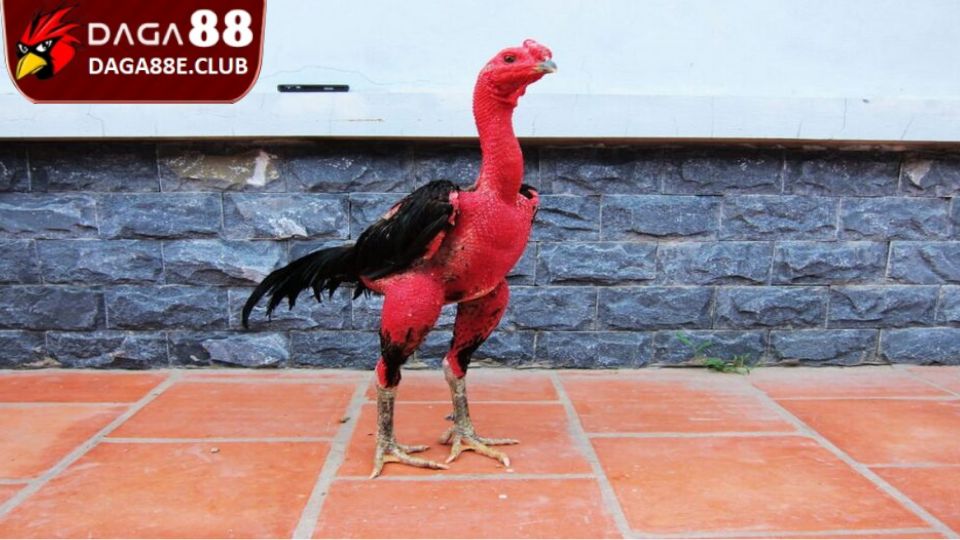 Luyện tập cơ bản trong giai đoạn 2 - 3 tháng để nâng cao kỹ năng