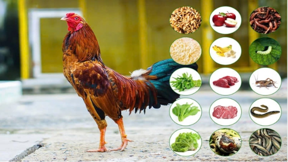 Nhóm thực phẩm tự nhiên dễ kiếm nhưng đặc biệt quan trọng